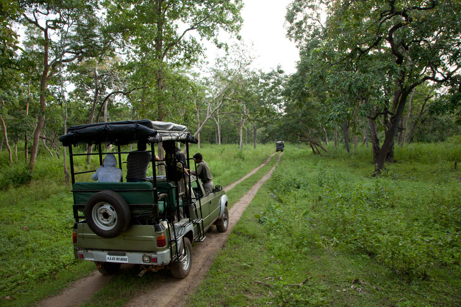 Jeep Safari, Nagarhole National Park